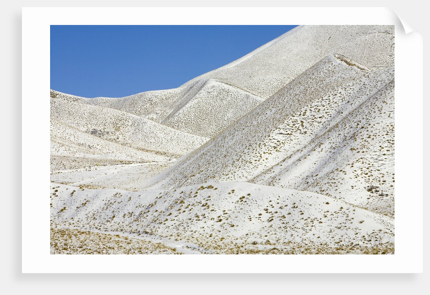 Snowy Hills at Lindis Pass in McKenzie Basin by Anonymous