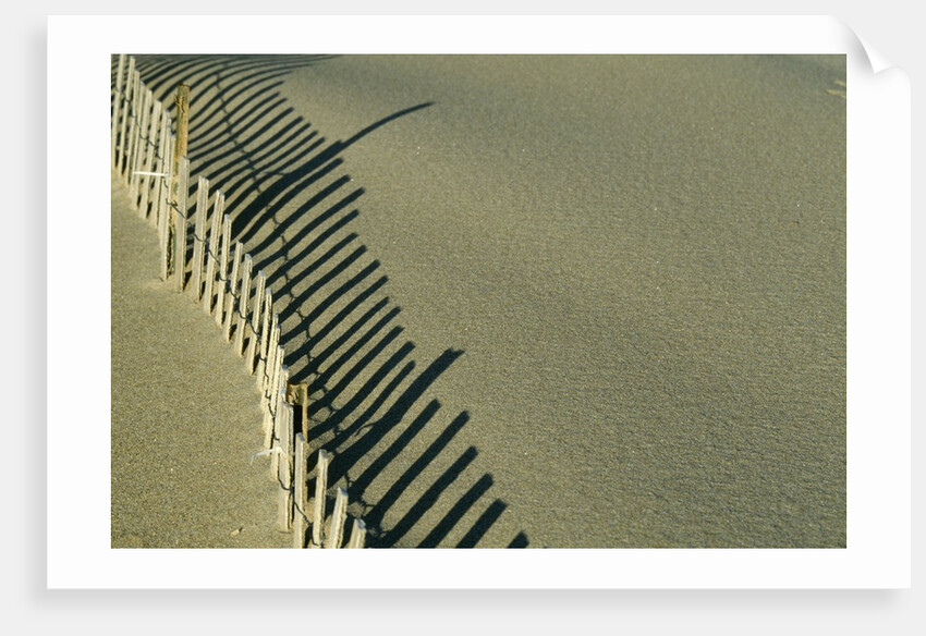 Fence in Sand by Anonymous