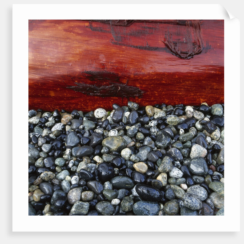 Log on Pebbles by Anonymous