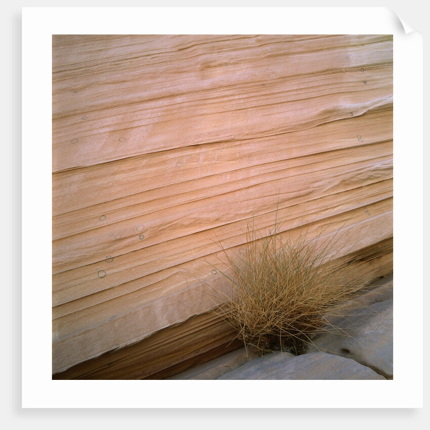 Sandstone Cliff by Anonymous