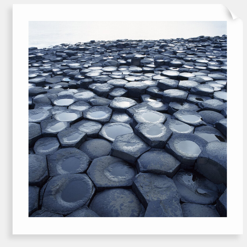 Basalt Columns by Anonymous