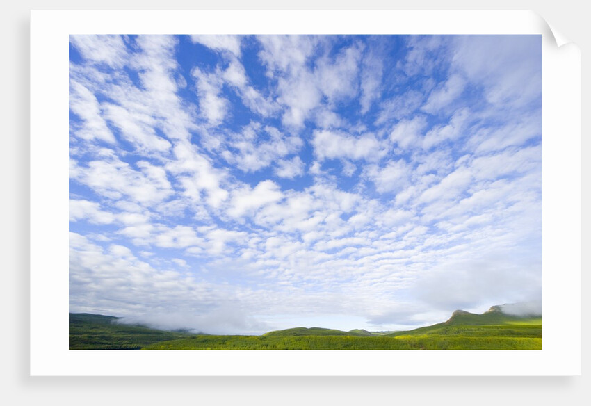 Green Hills Under Cumulus Clouds in Canada by Anonymous