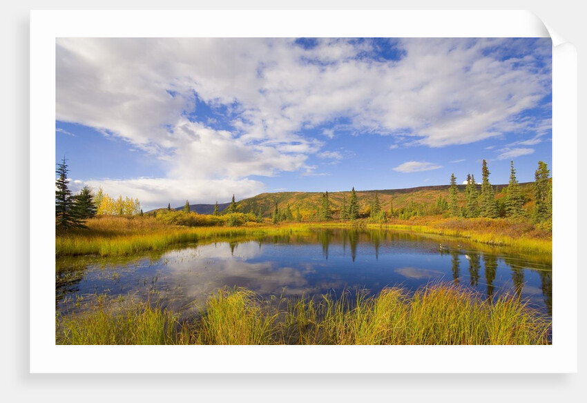 Cumulus Clouds Above Fall Tundra by Anonymous