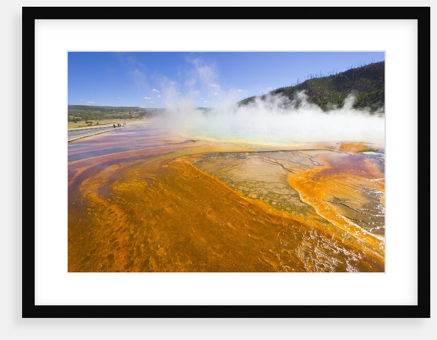 Grand Prismatic Spring in Yellowstone National Park by Anonymous