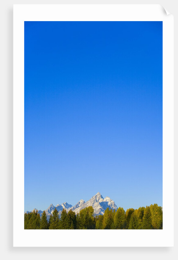 Grand Teton Range and Clear Sky by Anonymous