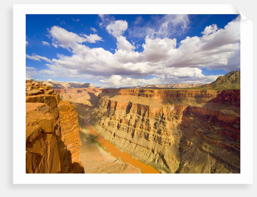 Grand Canyon and Colorado River by Anonymous