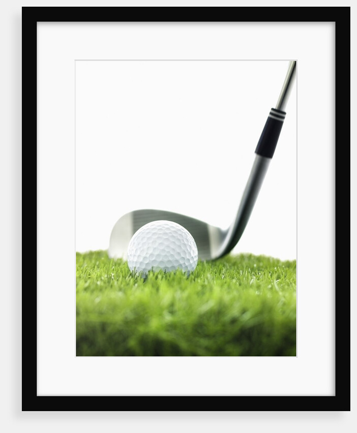 Golf Club and Golf Ball on Grass by Anonymous