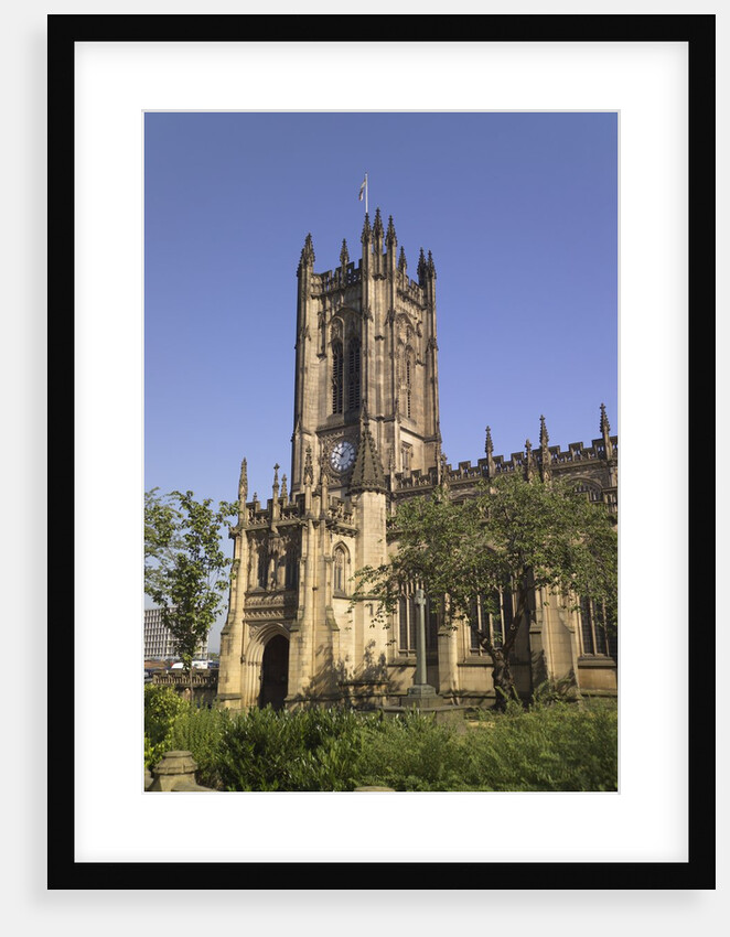 Manchester Cathedral by Anonymous