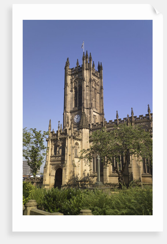 Manchester Cathedral by Anonymous