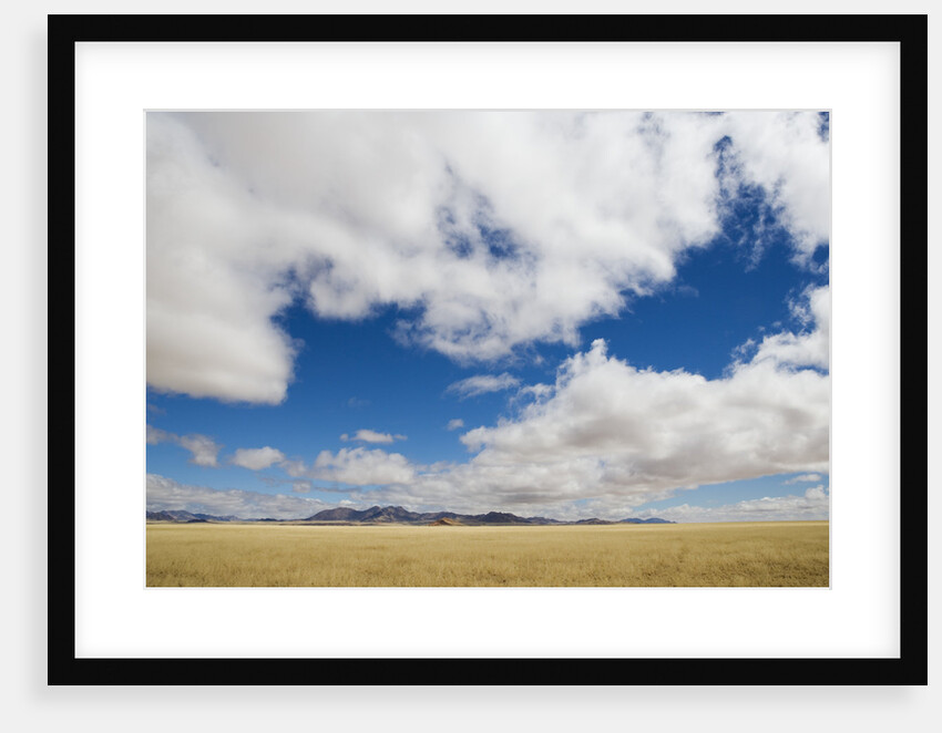 Sky over Savanna by Anonymous