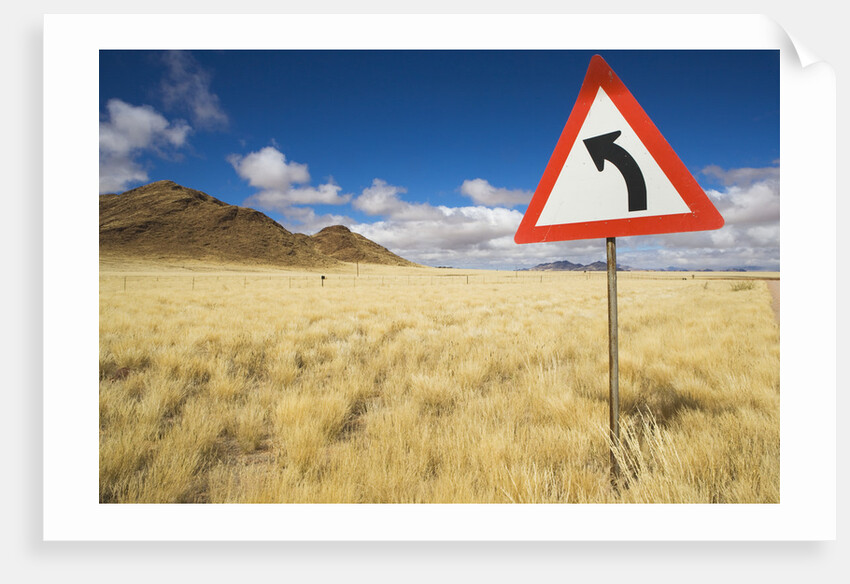 Traffic Sign on Overgrown Road by Anonymous