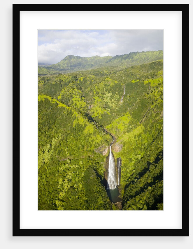 Aerial View of Waterfall in Waimea Canyon by Anonymous