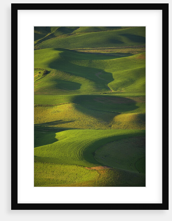 Green Hills by Anonymous