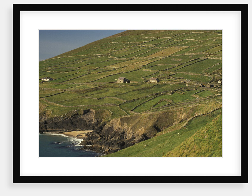 Farmhouses on Hill at Coast by Anonymous