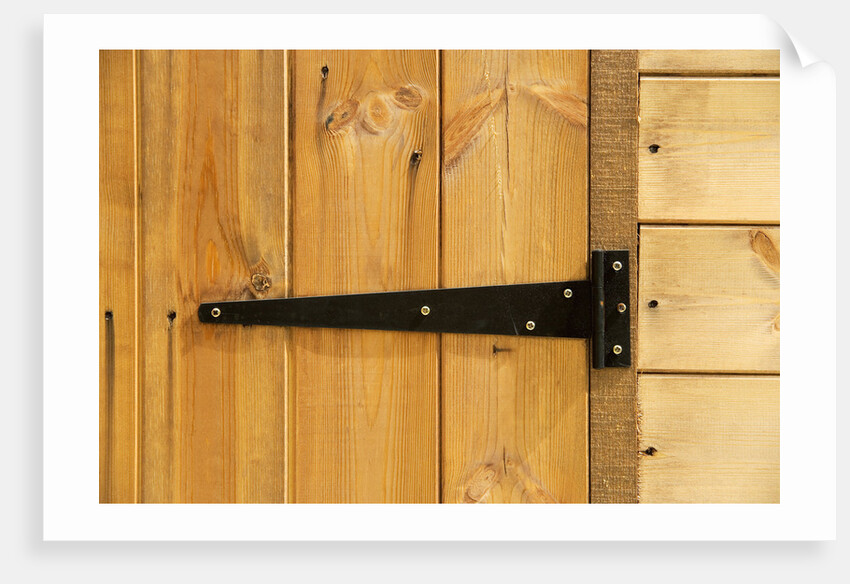 Door Hinge on Shed by Anonymous