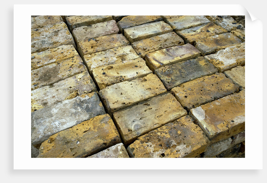Salvaged Bricks by Anonymous