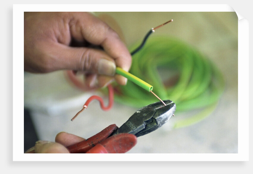 Electrician Stripping Electrical Wire by Anonymous
