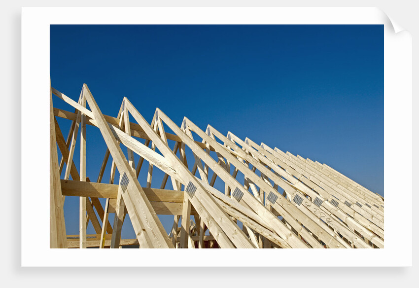 Construction Frame by Anonymous