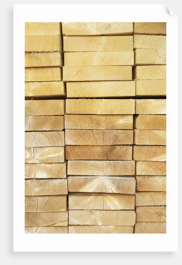 Stack of Planks in Lumberyard by Anonymous