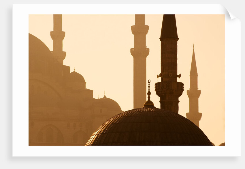 Two Mosques by Anonymous