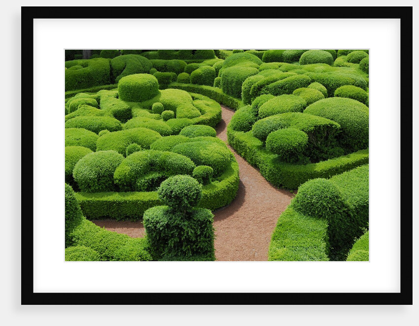 Topiary Garden at Chateau de Marqueyssac by Anonymous