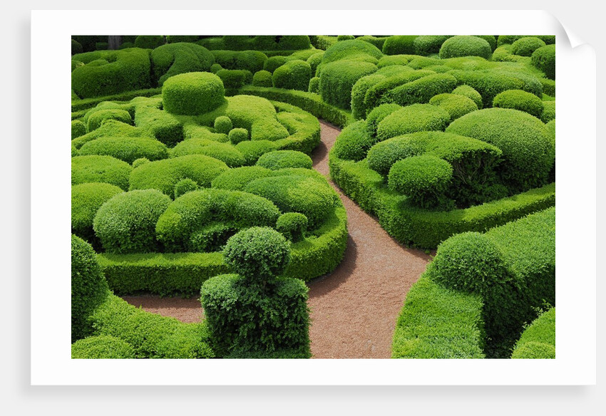Topiary Garden at Chateau de Marqueyssac by Anonymous