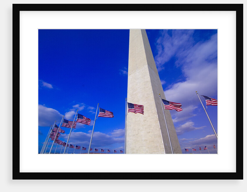 Flags Surrounding the Washington Monument by Anonymous