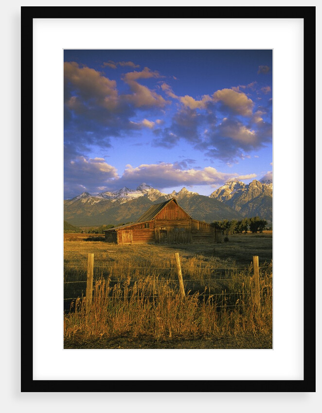 Barn in Historic Homestead Mormon Row by Anonymous