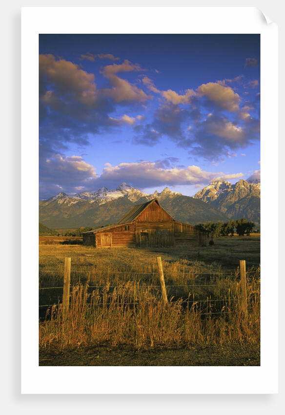 Barn in Historic Homestead Mormon Row by Anonymous