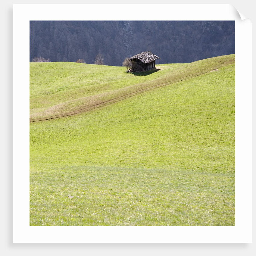 Mountain Cabin by Anonymous