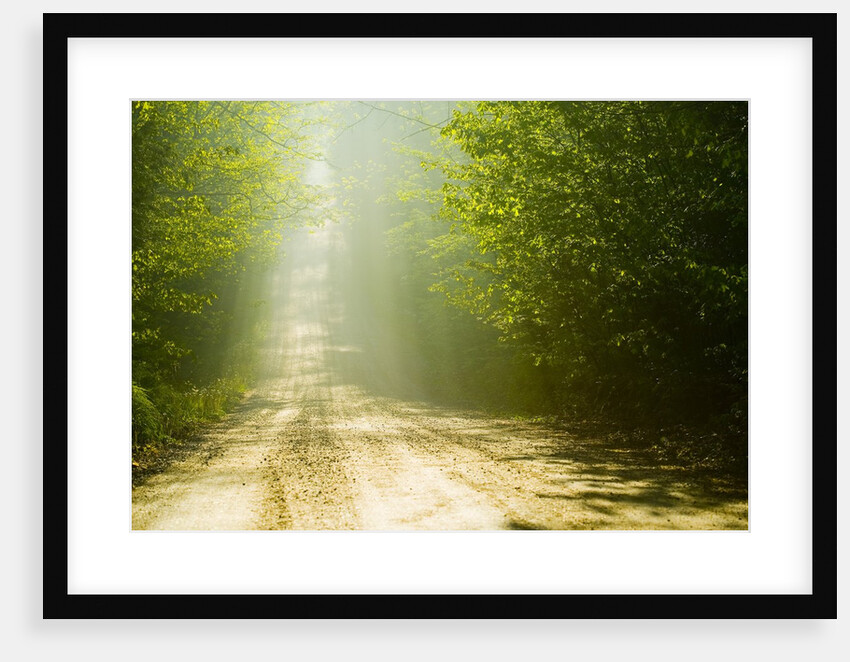 Rural Road by Anonymous