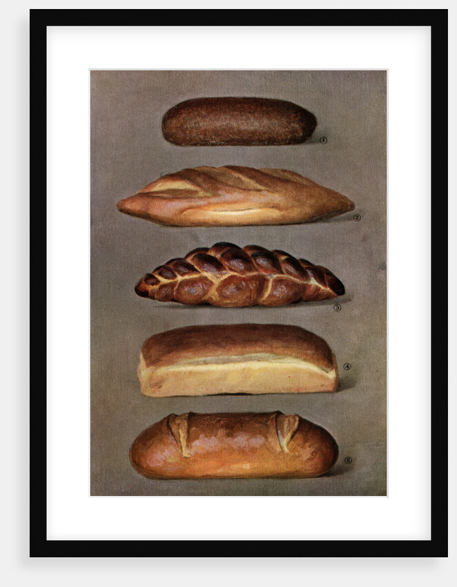Illustration of Five Loaves of Bread by Anonymous
