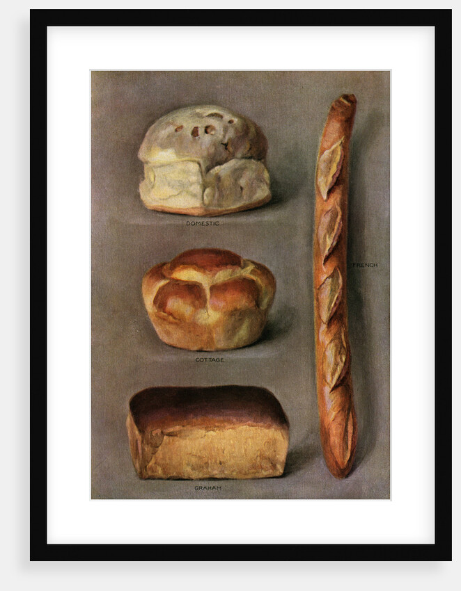 Illustration of Four Kinds of Bread by Anonymous