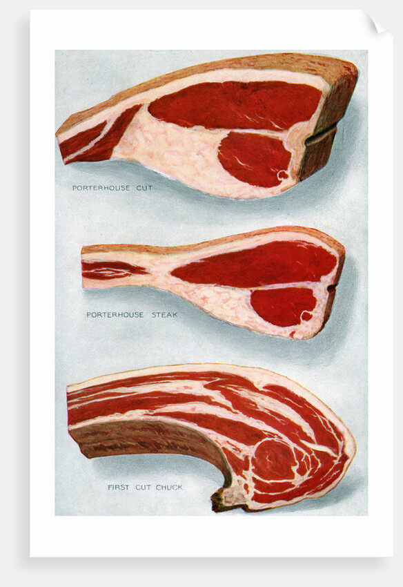 Illustration of Three Cuts of Beef by Anonymous