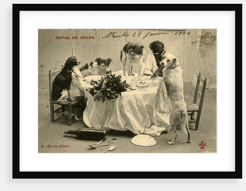Wedding Banquet with Five Dogs Making a Mess by Anonymous