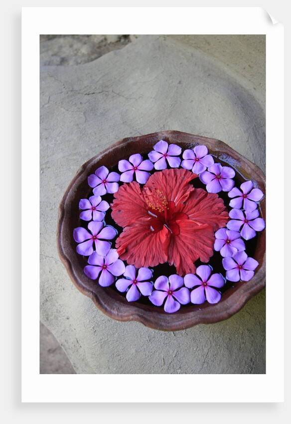 Flowers Floating in Bowl of Water by Anonymous