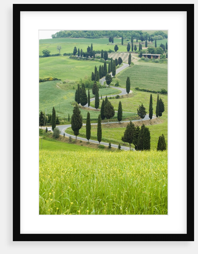 Winding Country Road by Anonymous