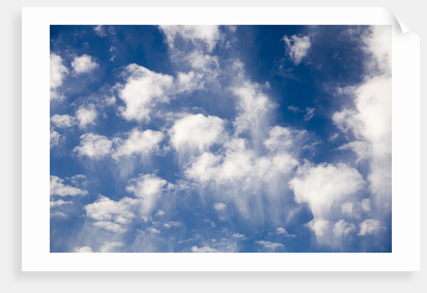 Wind Swept Clouds in Blue Sky by Anonymous