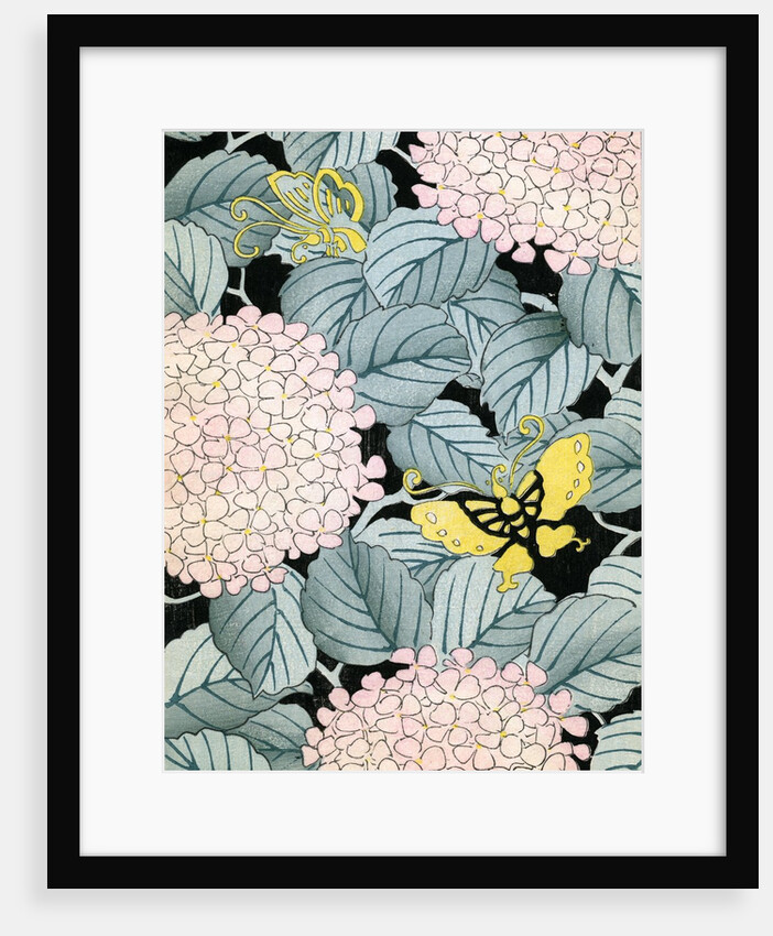 Illustration of Hydrangeas and Butterflies by Anonymous