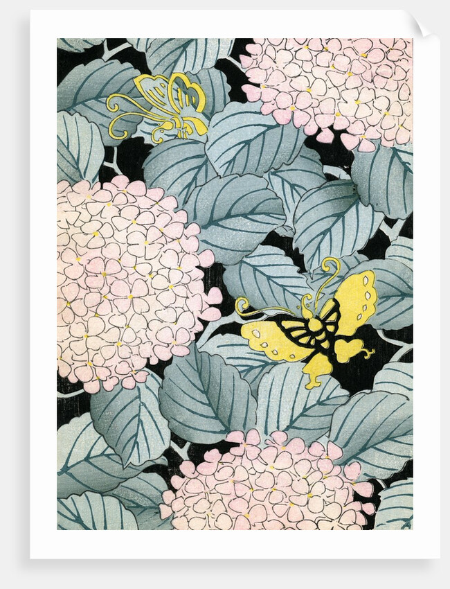 Illustration of Hydrangeas and Butterflies by Anonymous