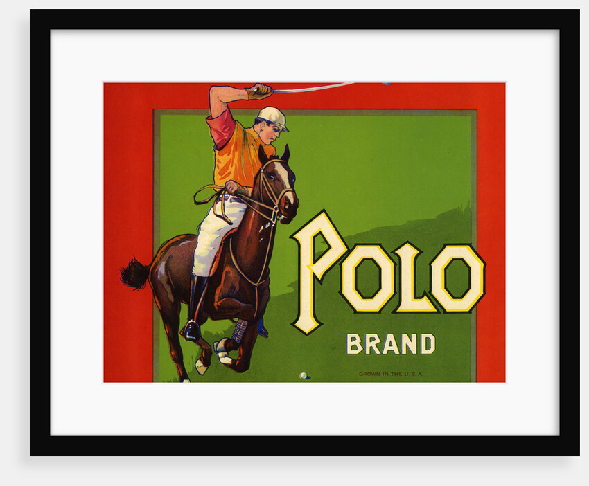 Polo Brand Fruit Crate Label by Anonymous