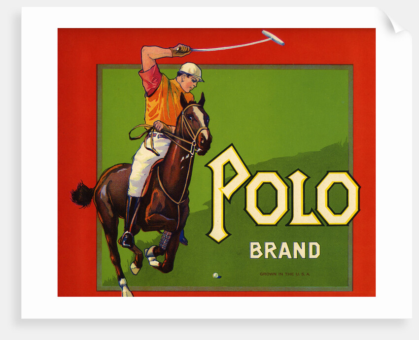 Polo Brand Fruit Crate Label by Anonymous