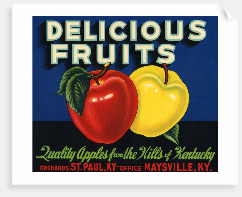 Delicious Fruits Fruit Crate Label by Anonymous