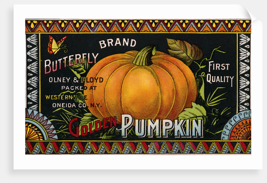 Butterfly Brand Golden Pumpkin Product Label by Anonymous
