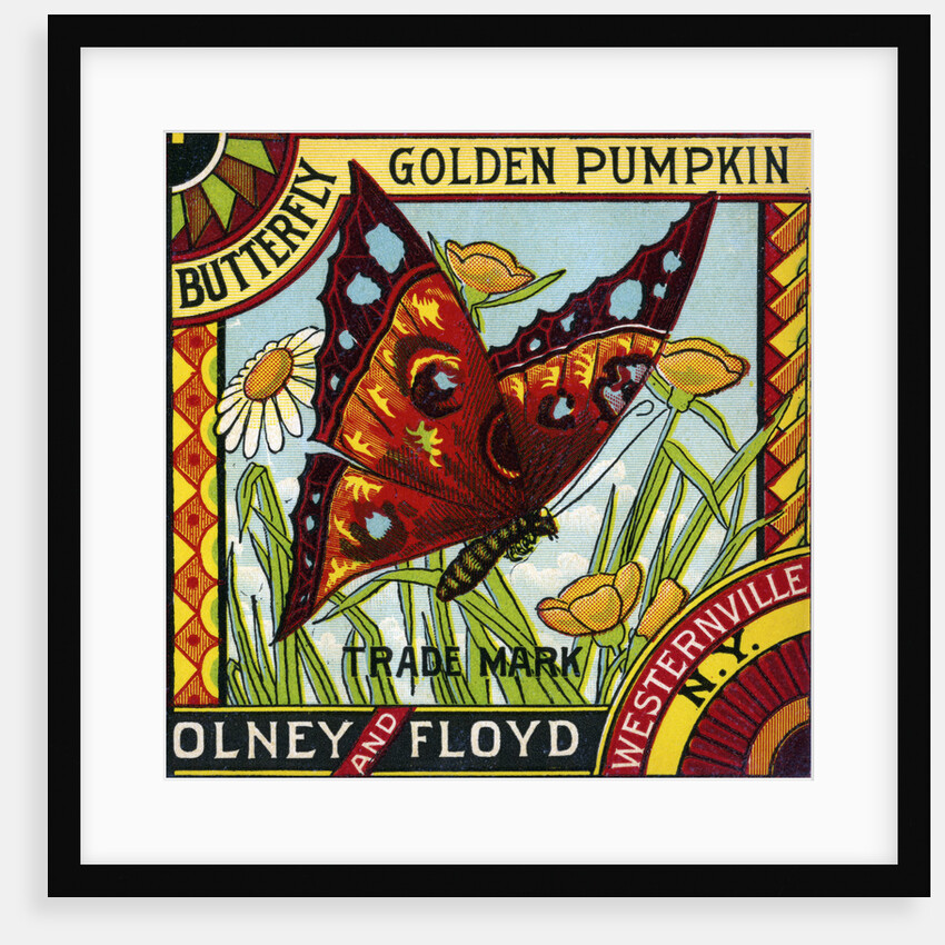 Butterfly Golden Pumpkin Product Label by Anonymous