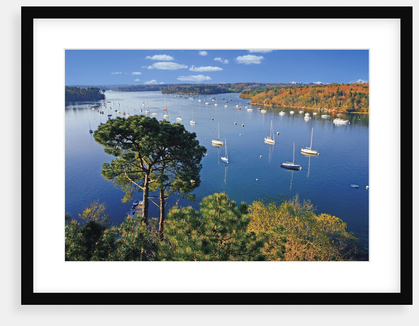 Sailboats Anchored on River by Anonymous