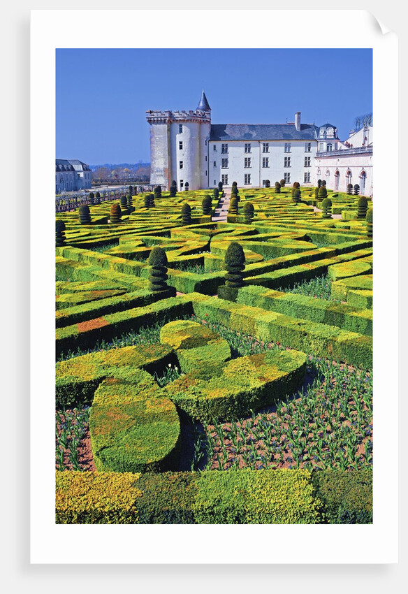 Chateau de Villandry and Garden by Anonymous