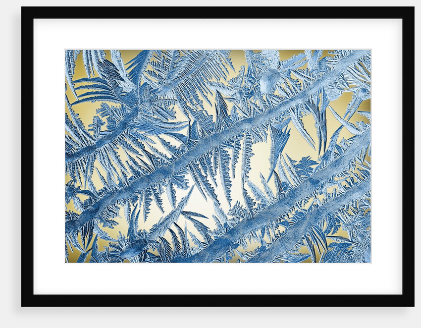 Frost on Glass by Anonymous