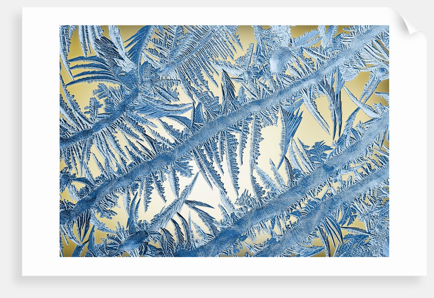Frost on Glass by Anonymous