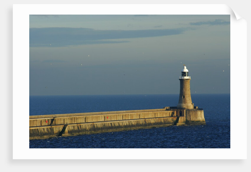 North Pier Lighthouse by Anonymous